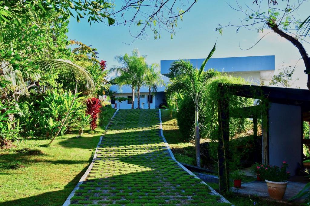 Sand Dollar Villa photo 1