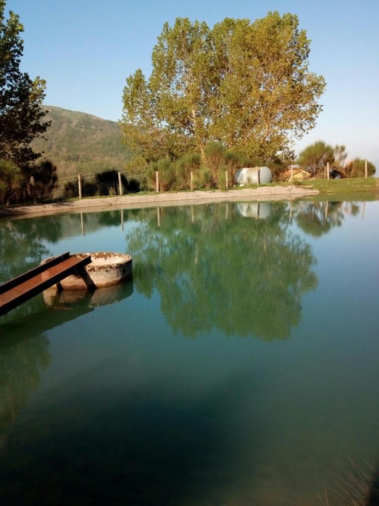 B&B Masseria Cozzi photo 3