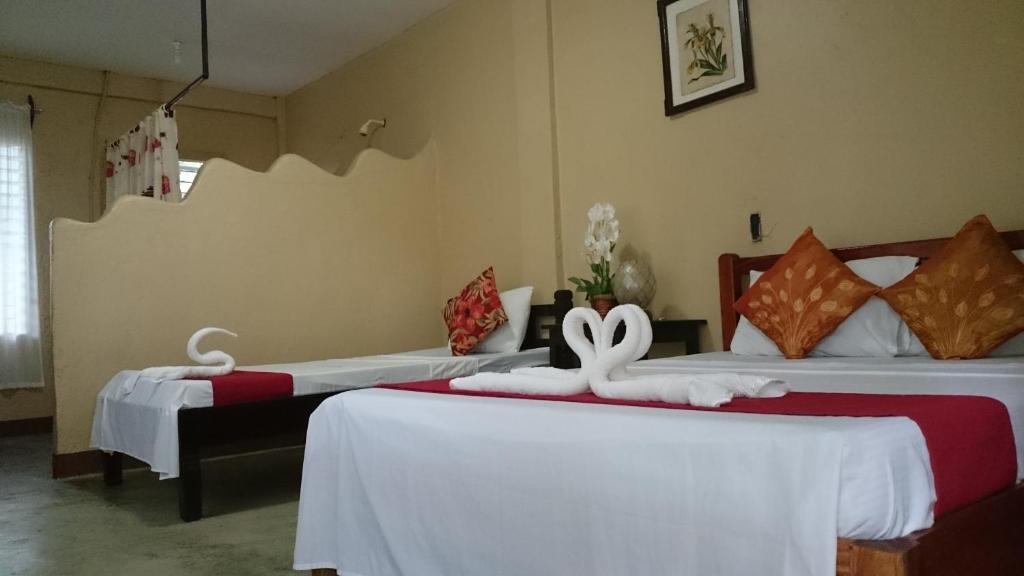 Adventure Camp Beach Resort Room Type - Deluxe Double or Twin Room with Ocean View