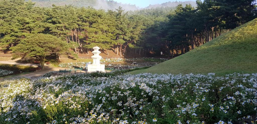 Gujeolcho Guesthouse photo 1