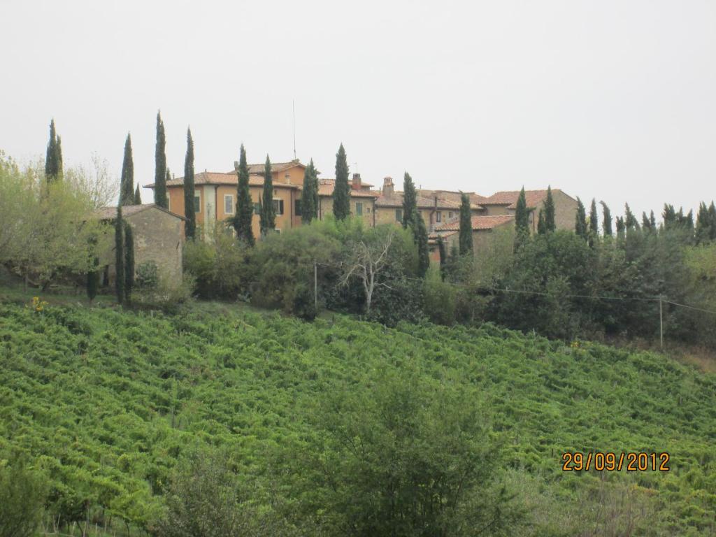 Tenuta Il Tresto photo 4