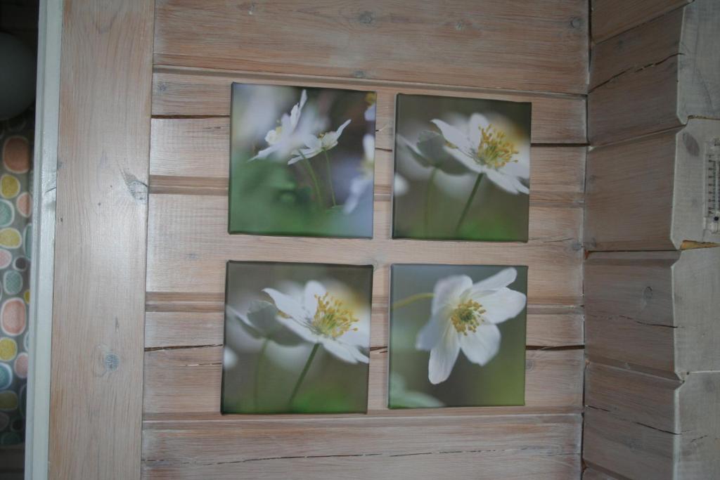 Ekströms Stugor photo 3