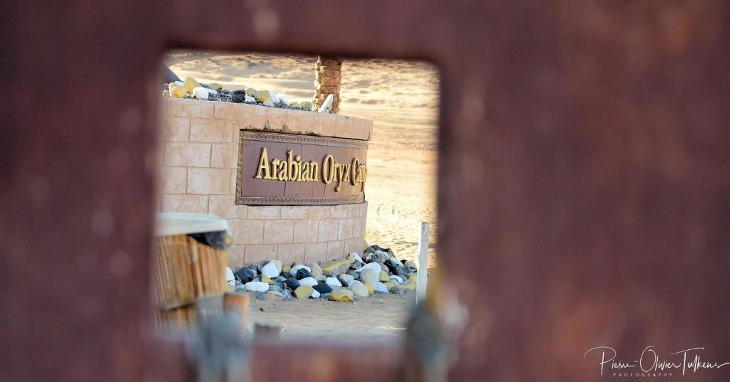 Arabian Oryx Camp photo 4