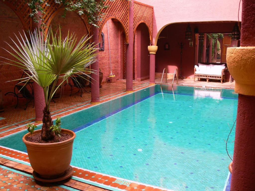 Riad Noga photo 2