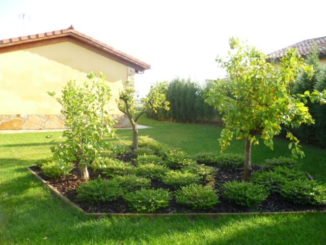 Raitana photo 3