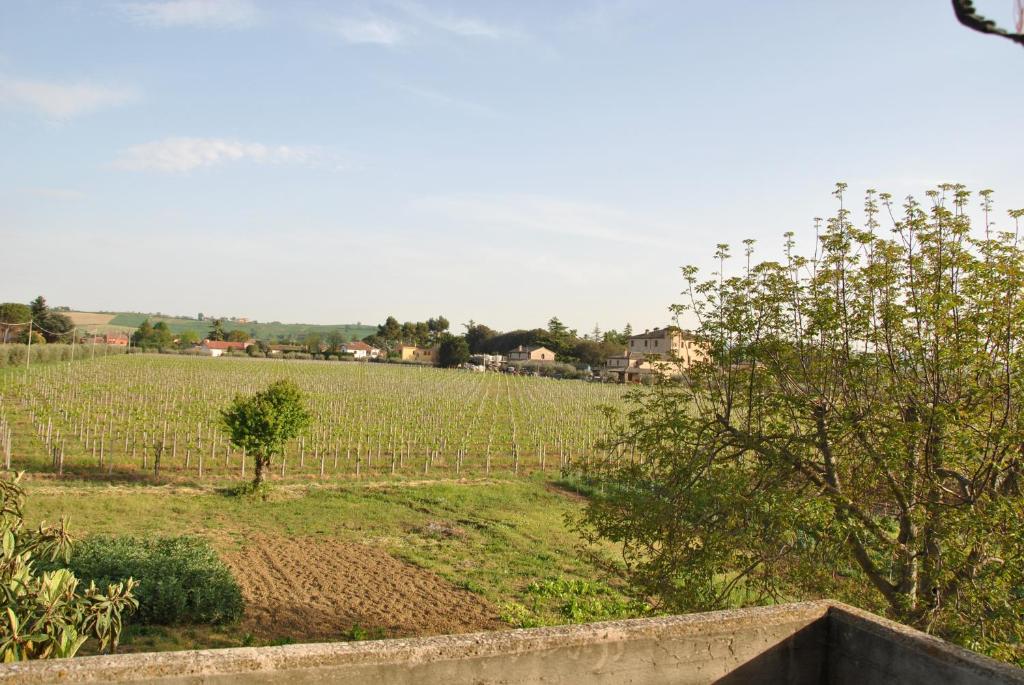 A Casa di Lanfranco photo 4