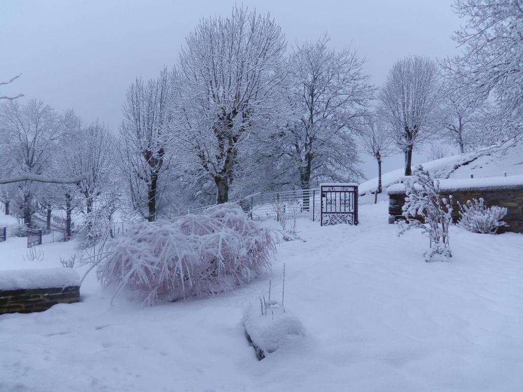 Le Martinou photo 2