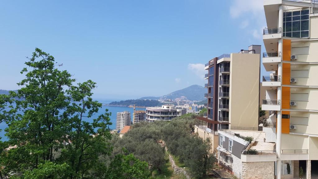 Апартаменты (Апартаменты-студио), Apartment Vidovic