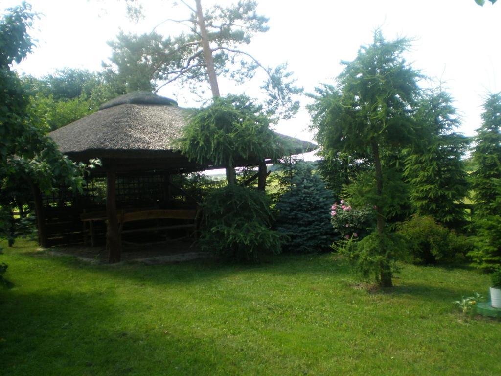 domek w pobliżu jeziora photo 3