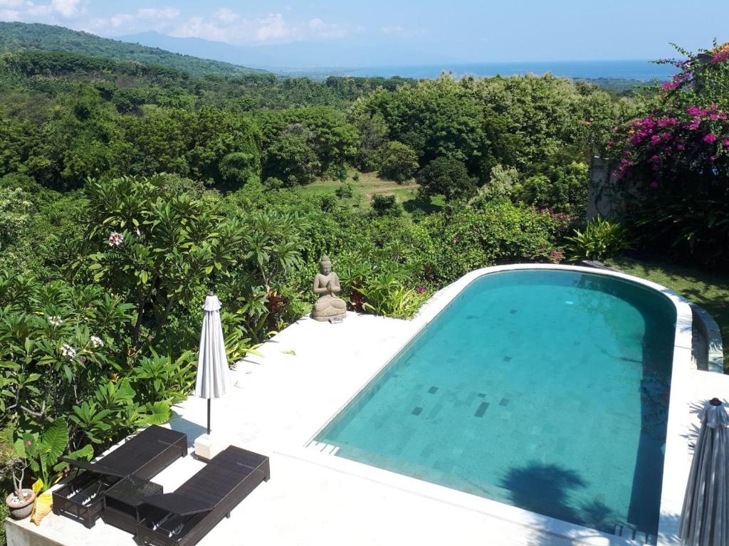 Lovina Paradise photo 3