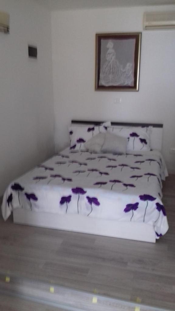 Apartmani Vesna photo 1