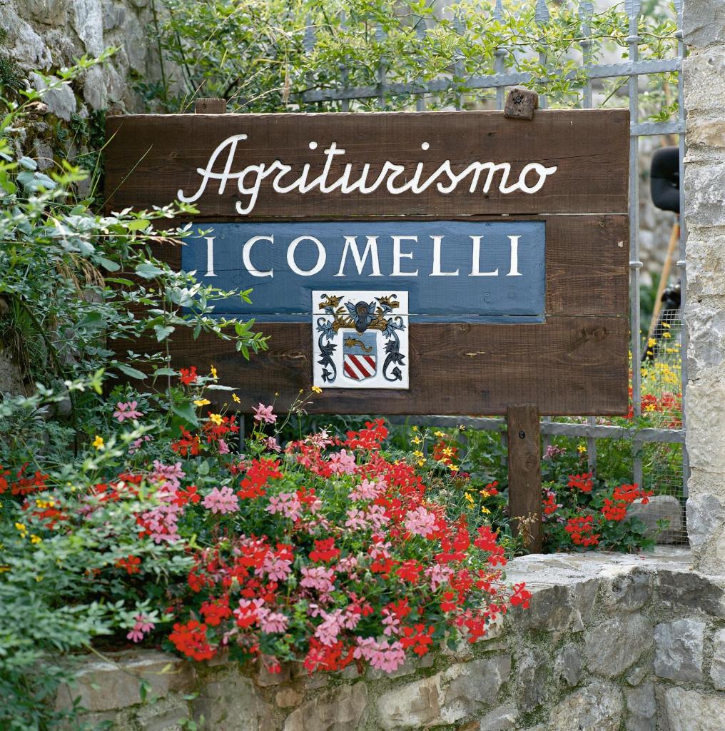Agriturismo I Comelli photo 1