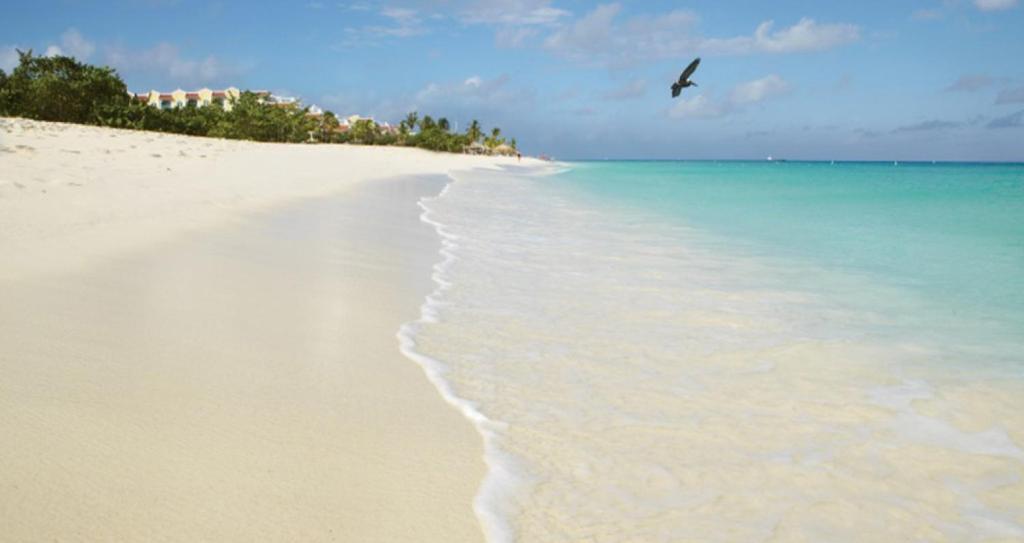 Buddha Studios Aruba photo 3