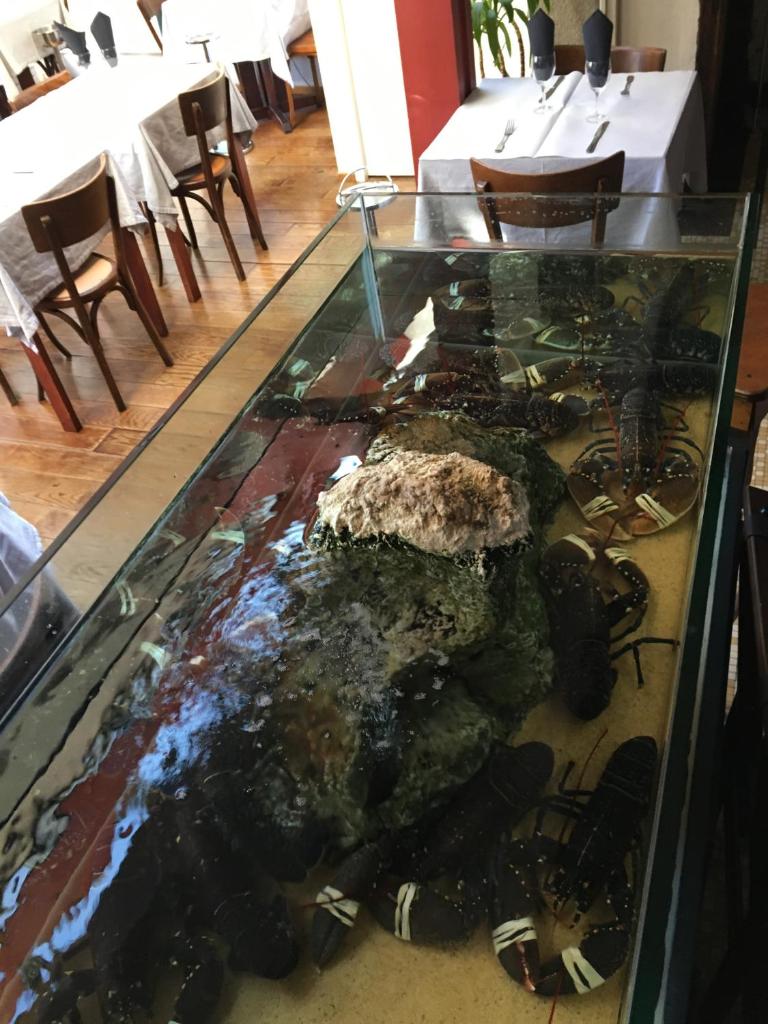 Hotel Brasserie Armoricaine - Thumbnail image