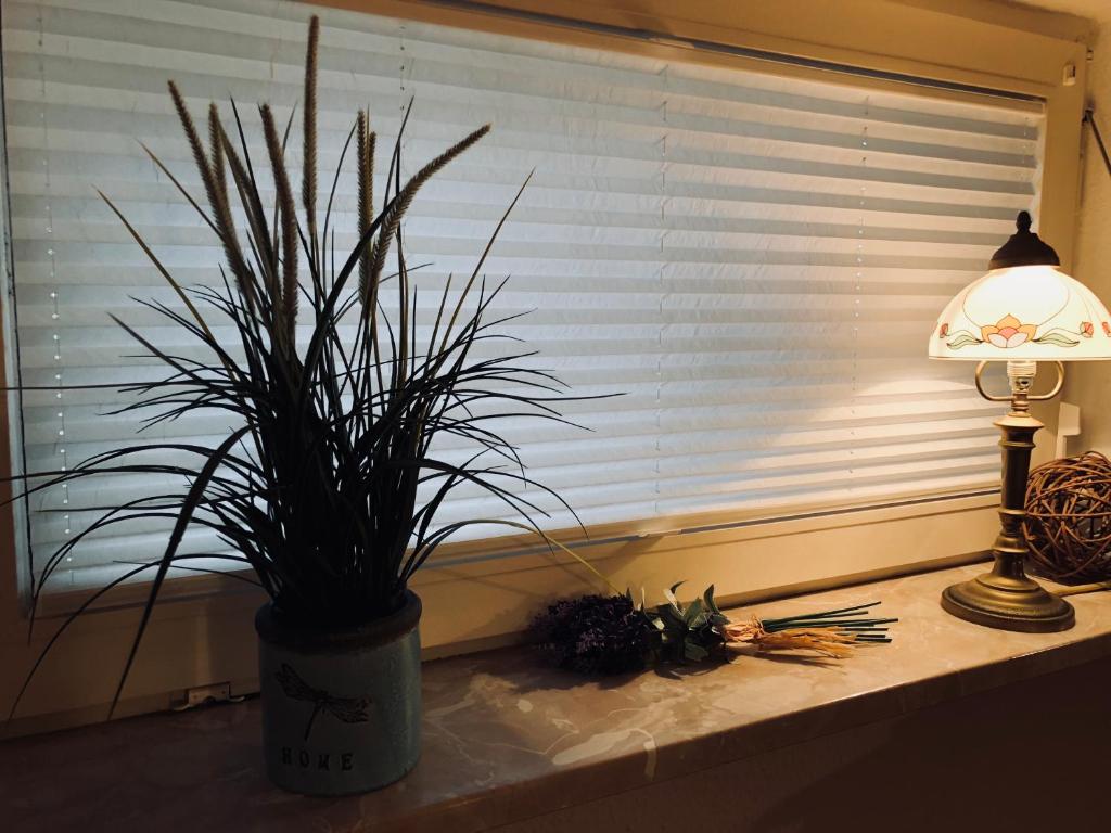 Ferienwohnung Südel photo 4