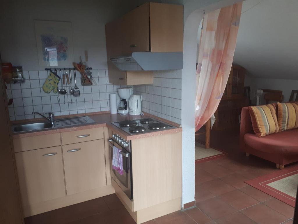 Ferienwohnung Evangeline Borsch photo 2
