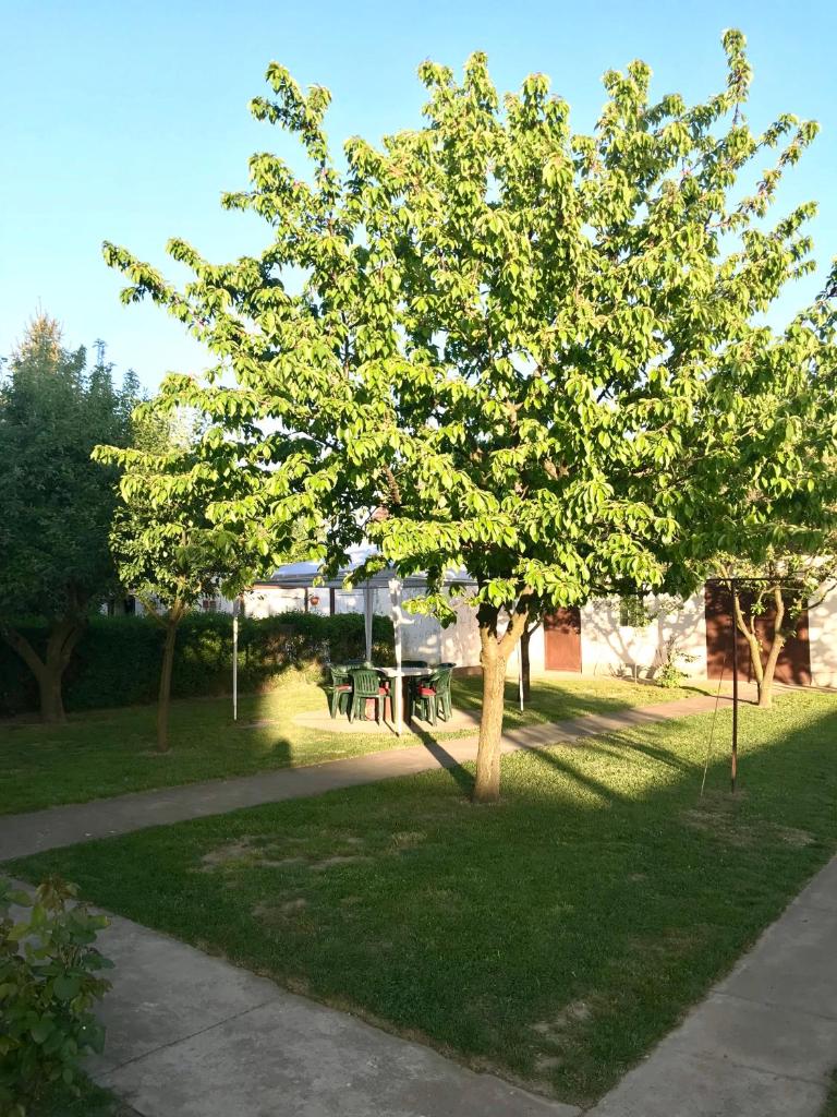 Apartmani Matosevic photo 4