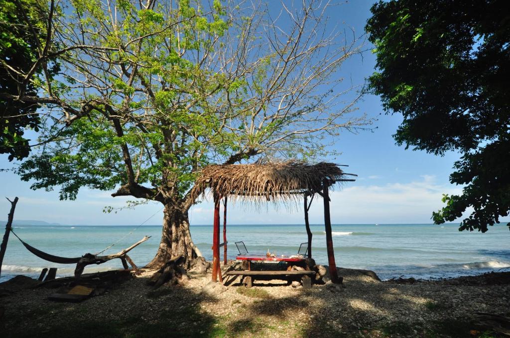 Howler Monkey Hotel photo 2