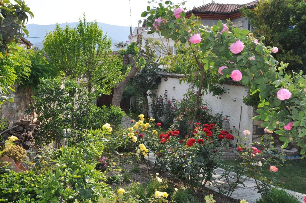 Garden House photo 2