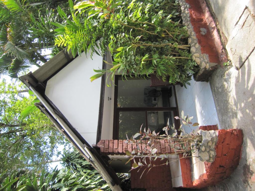Номер (Стандартное бунгало с вентилятором), Pine Bungalow Krabi