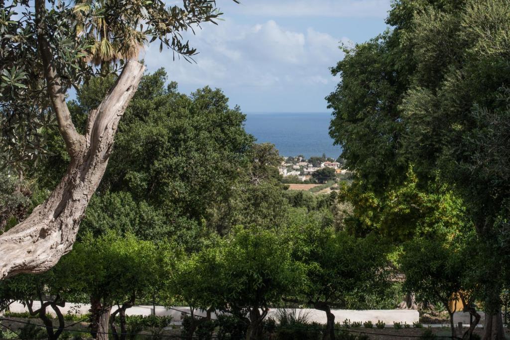 Villa Fontana photo 4