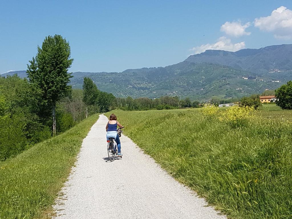 Tra gli olivi photo 1