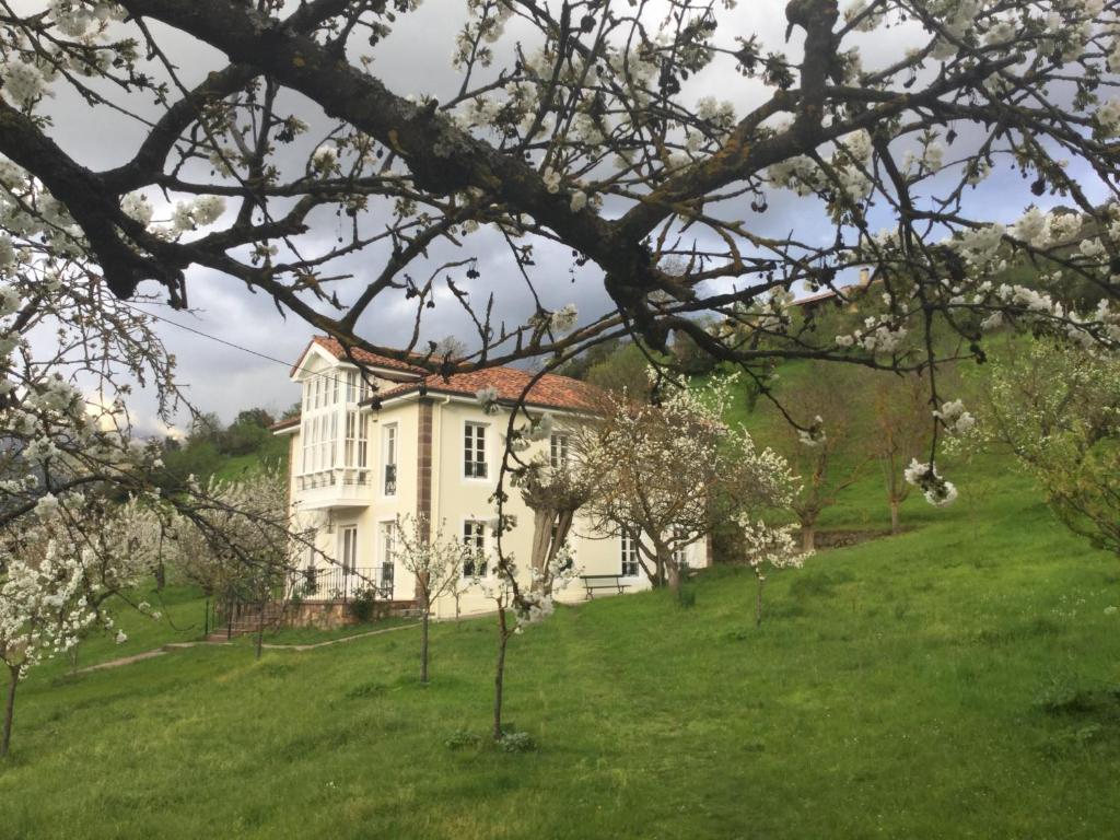 Villa Elena photo 3