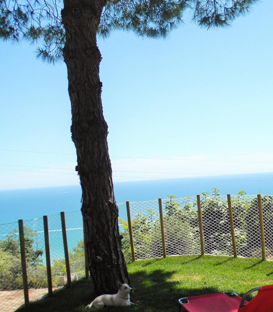 B&B Verderosa photo 3