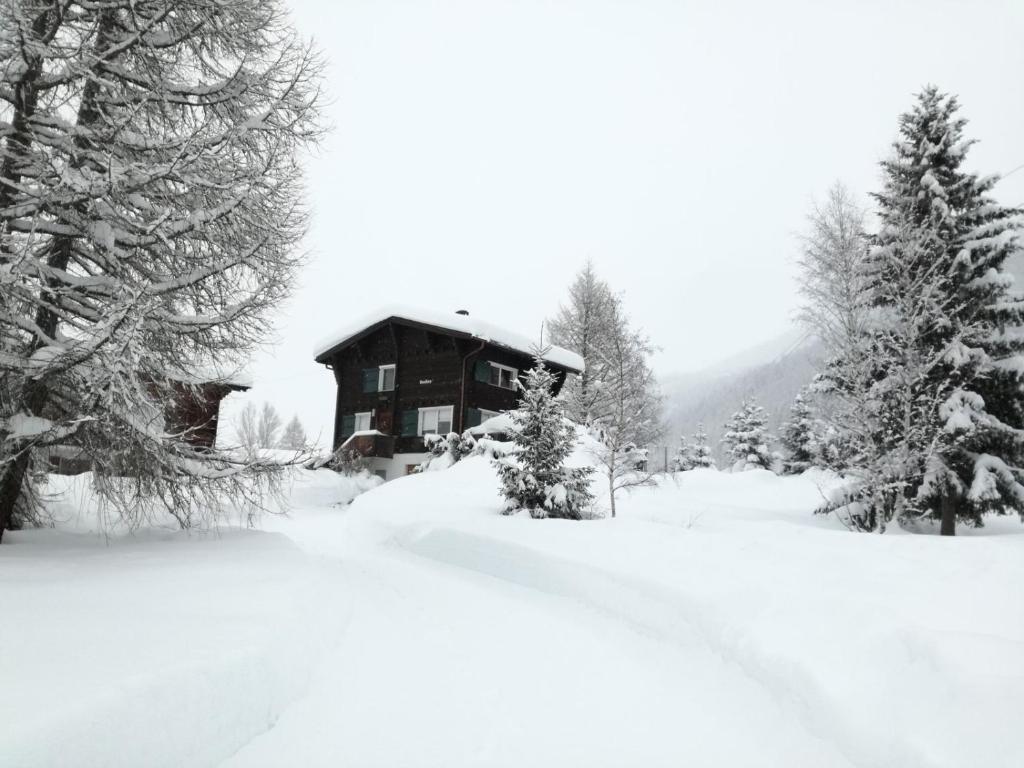 Chalet Bosbes