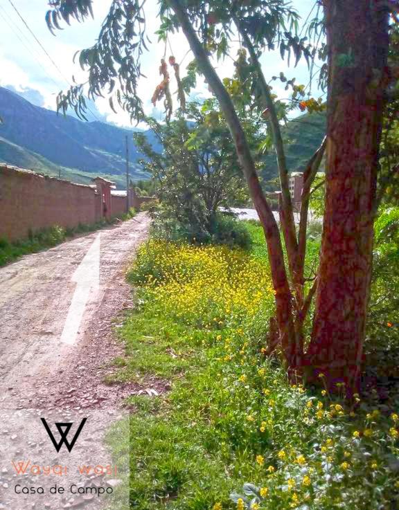 Wayqi Wasi photo 3