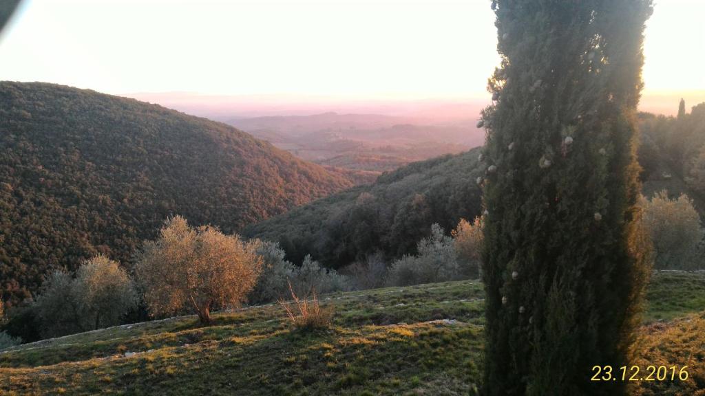 Il Pozzo Della Citerna photo 4