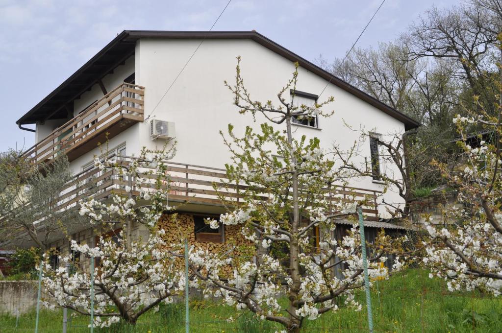 Apartma BAJČI photo 1