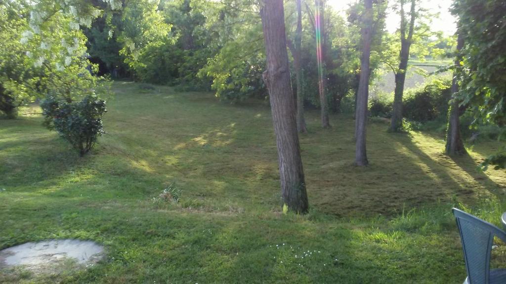 Bed and Breakfast Sile e Natura photo 1