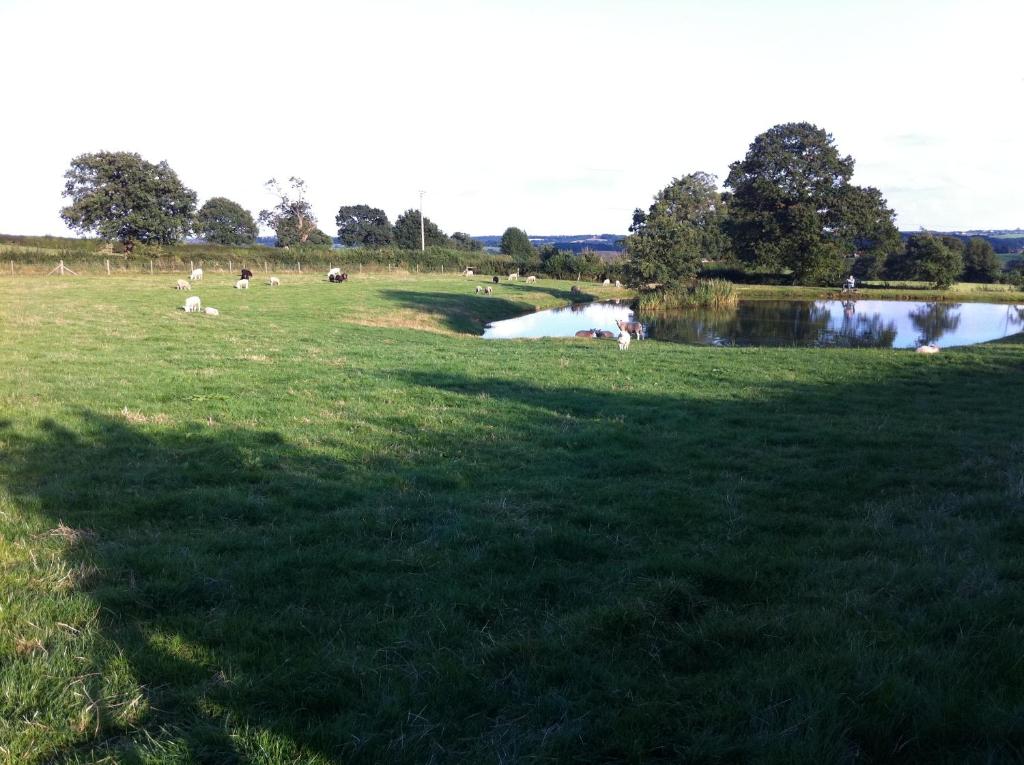 Crich Lane Farm photo 1