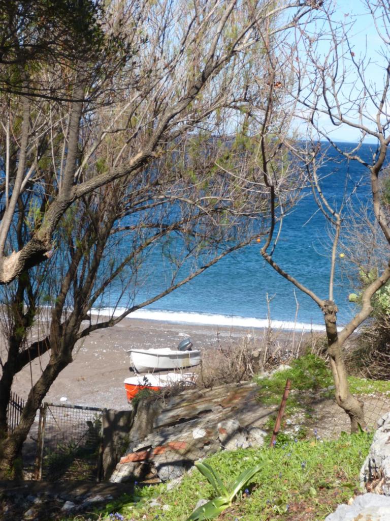 Cottage Stella-eco living-Evia island photo 3