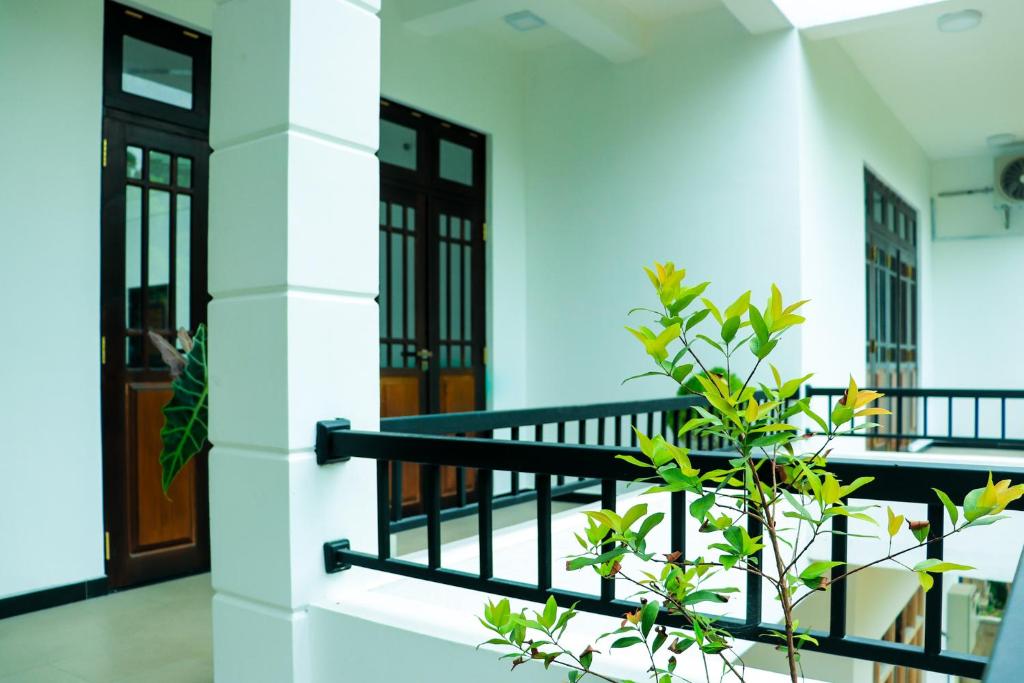 Welcome Inn Mirissa