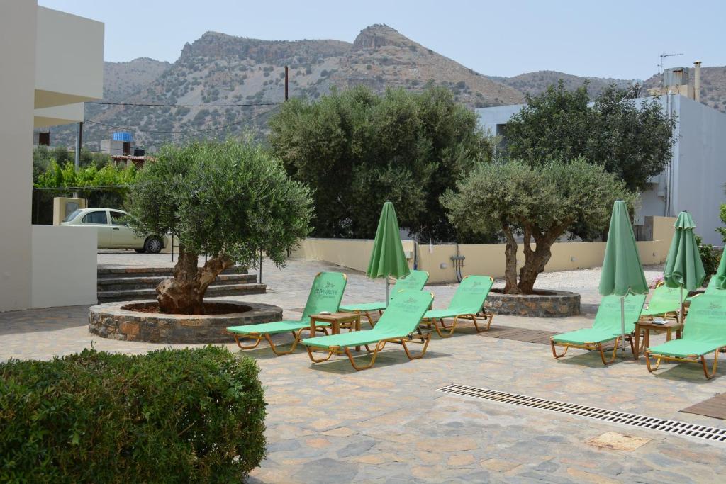 Olive Grove Apartments photo 2