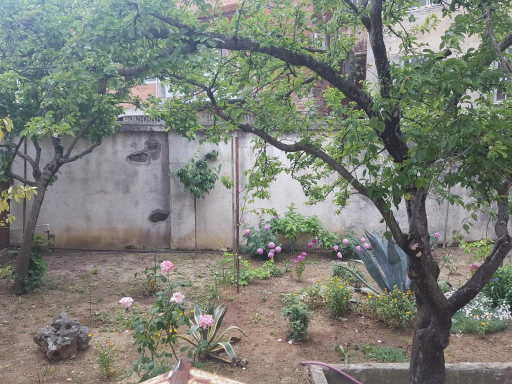 Hostel Mana Kutaisi photo 1