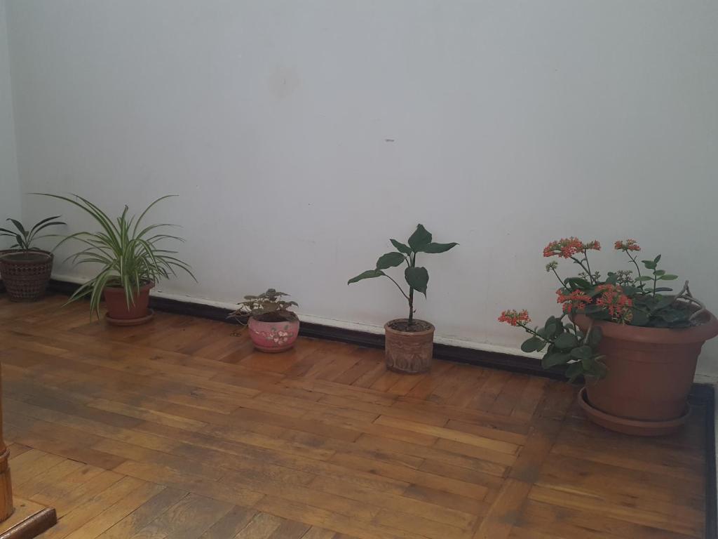 Hostel Mana Kutaisi photo 3