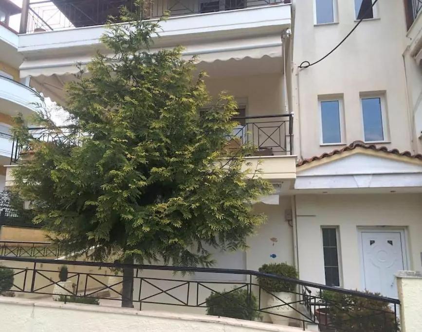 Litochoro Apartments photo 3