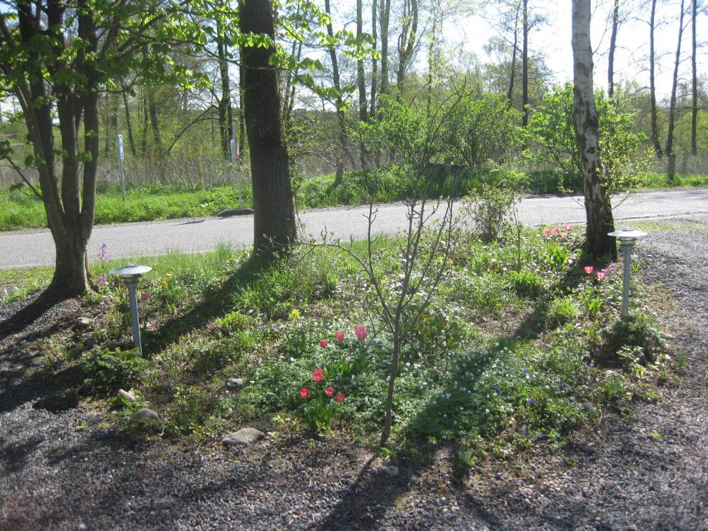 Ved Vandet photo 4