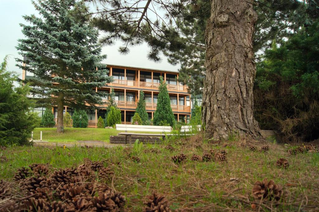 Landhotel Harz photo 2