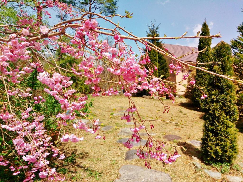 Aromatic Garden Villa La Poltrona photo 4