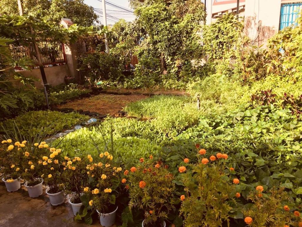 Yellow Farm homestay