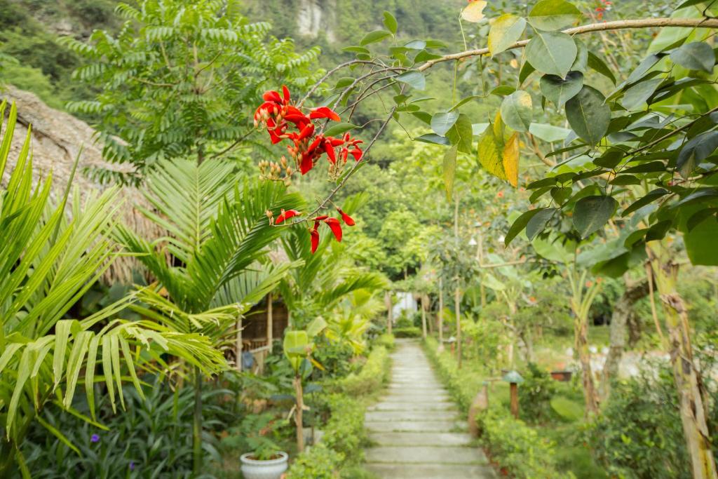 Tam Coc Rice Fields Resort