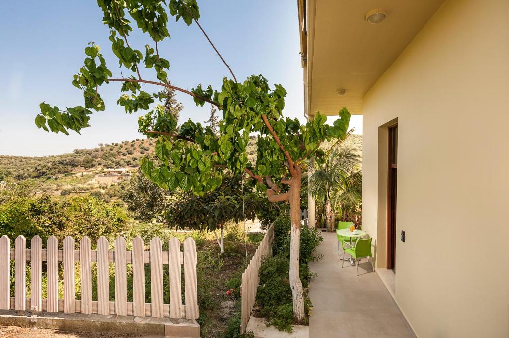 Filio House photo 1