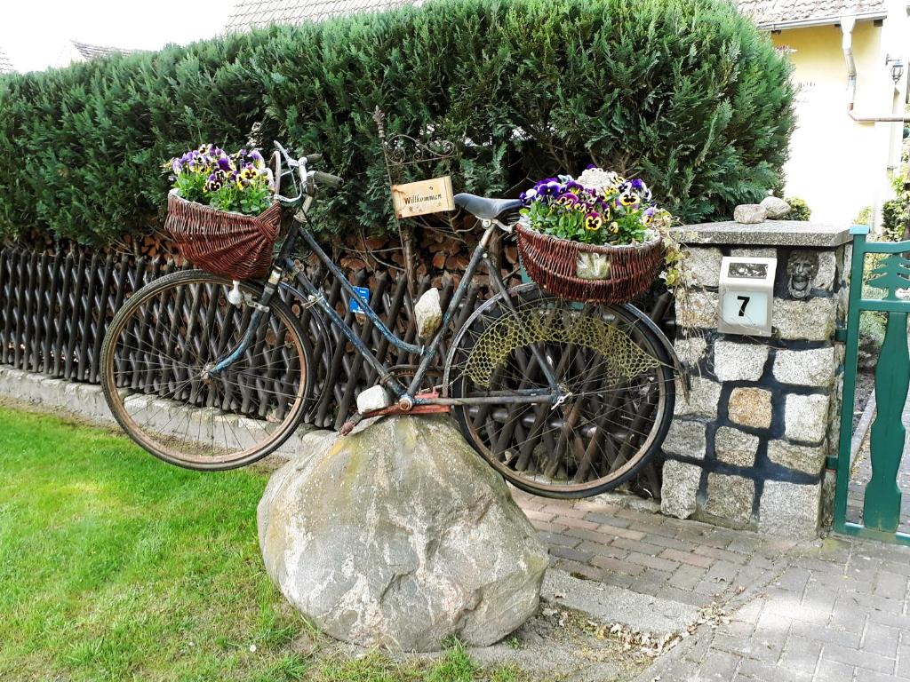Pension Zum weißen Hirsch photo 2