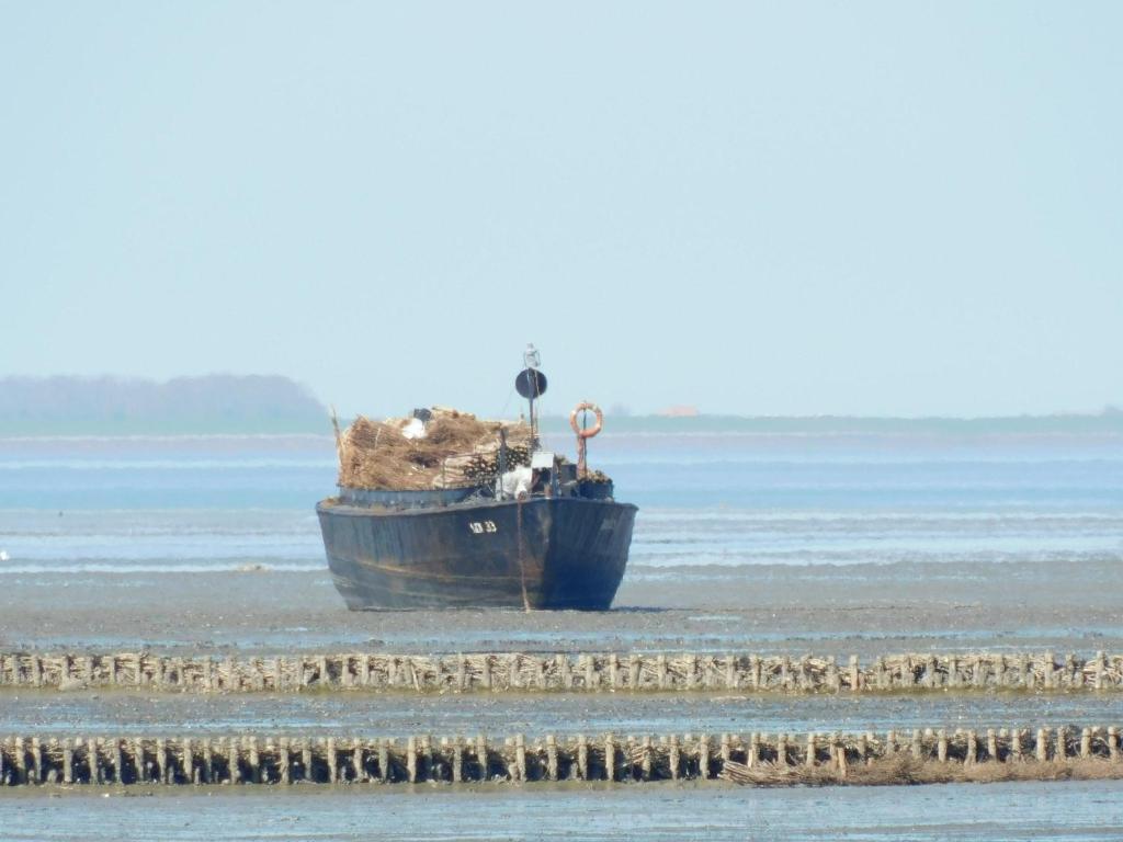 Nordsee photo 4