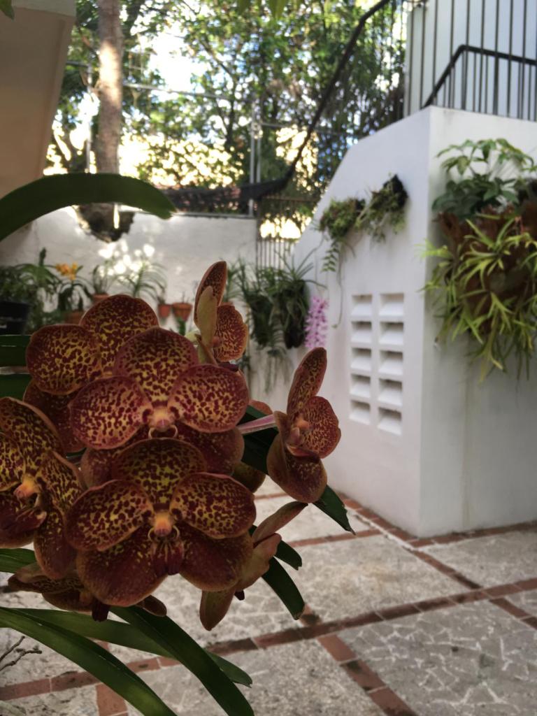 Estudio coquero en zona Residencial photo 3