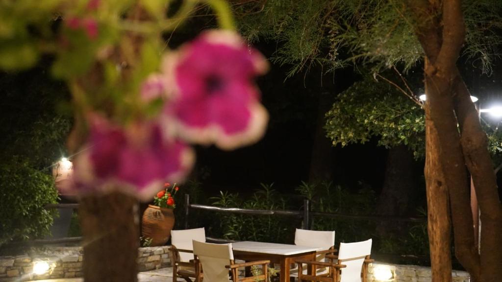 Hotel Morfeas photo 4